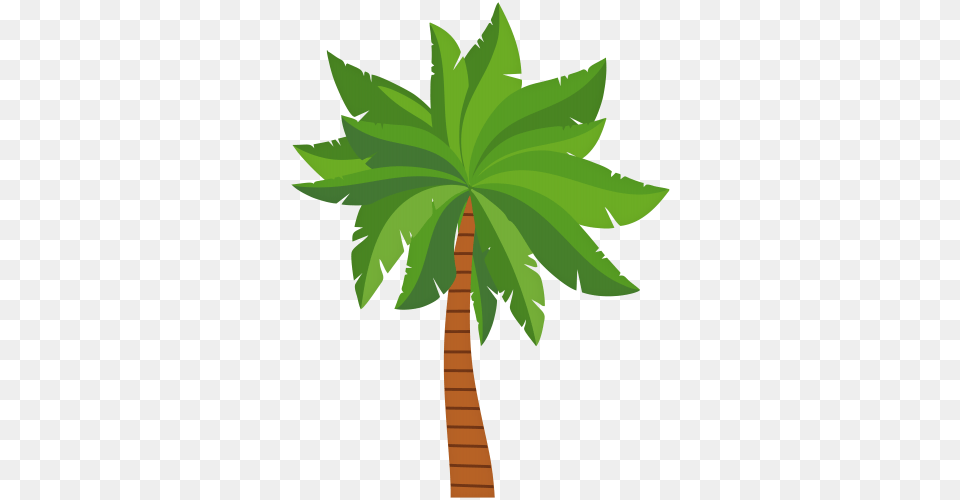 Palm Tree, Leaf, Palm Tree, Plant, Vegetation Free Png Download