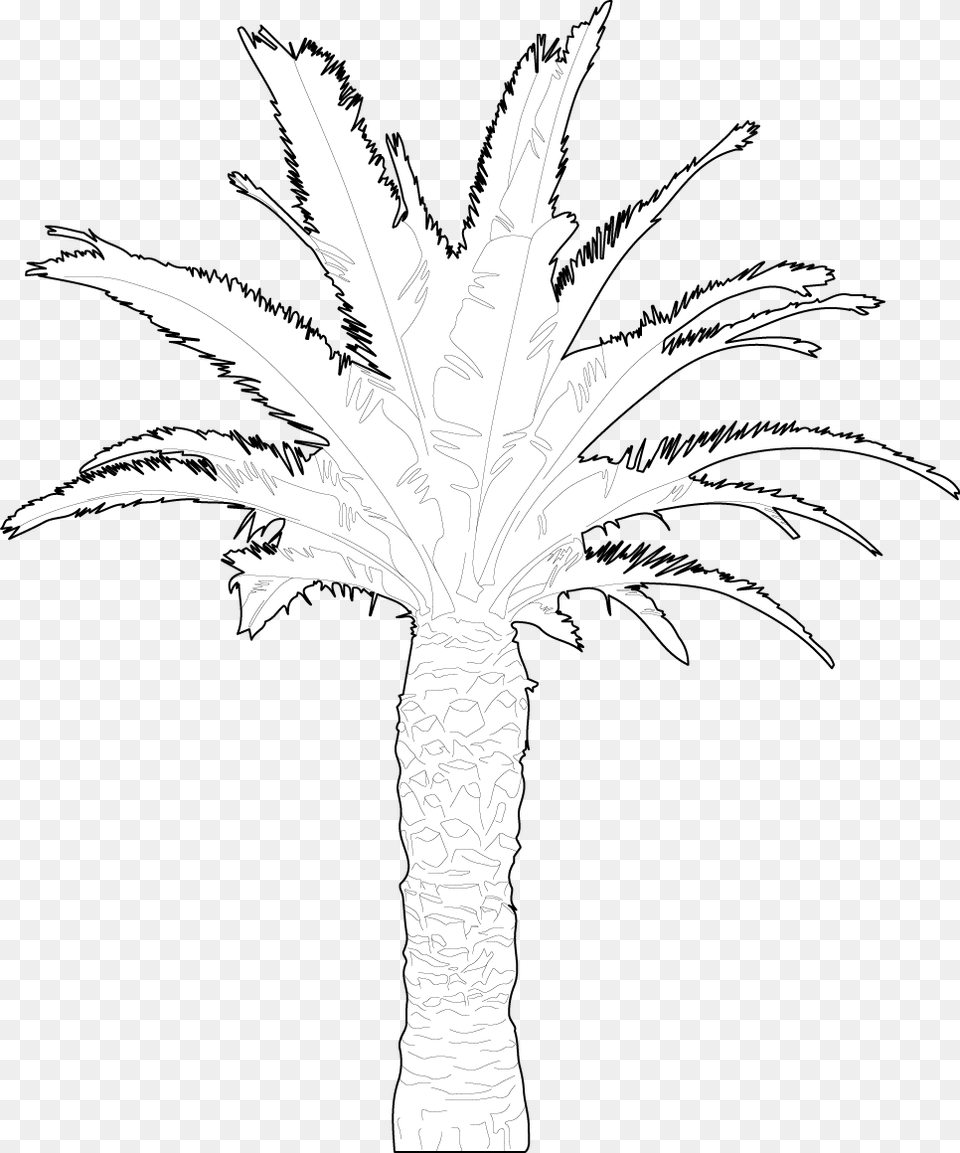 Palm Tree, Art, Palm Tree, Plant, Drawing Png Image