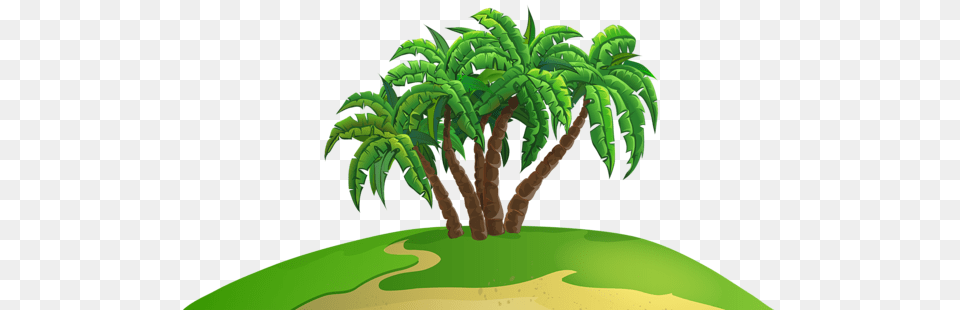 Palm Tree, Vegetation, Green, Plant, Palm Tree Png Image