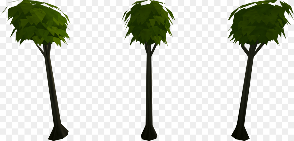 Palm Tree, Green, Leaf, Vegetation, Plant Free Png