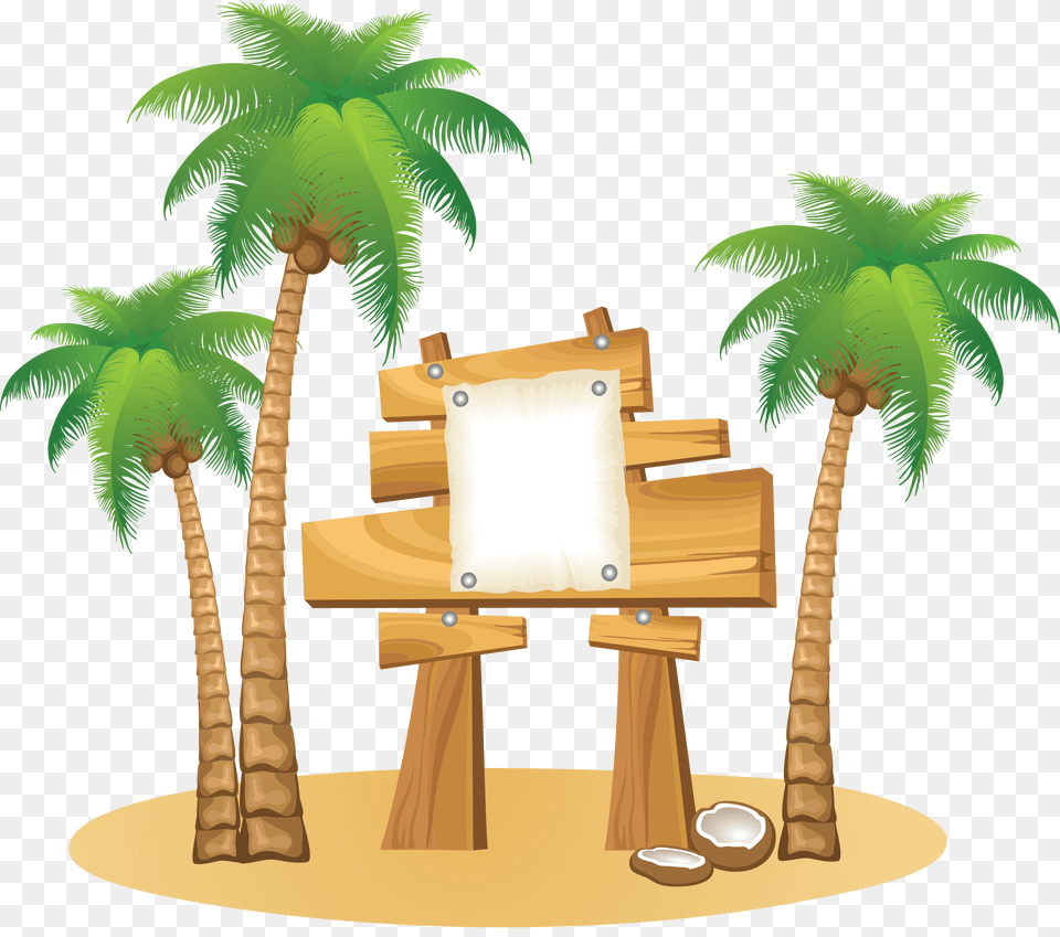 Palm Tree, Vegetation, Plant, Palm Tree, Summer Free Png