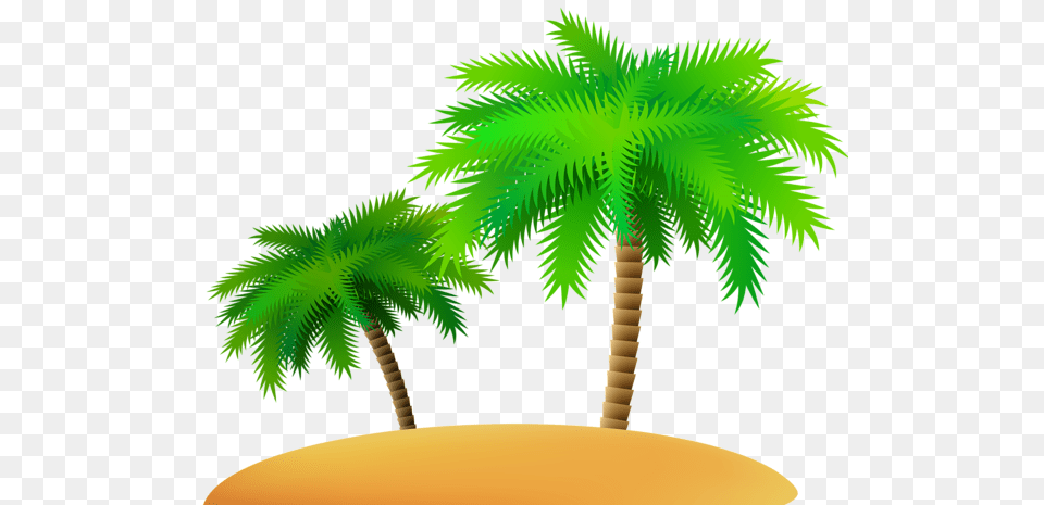 Palm Tree, Palm Tree, Plant, Vegetation Free Png