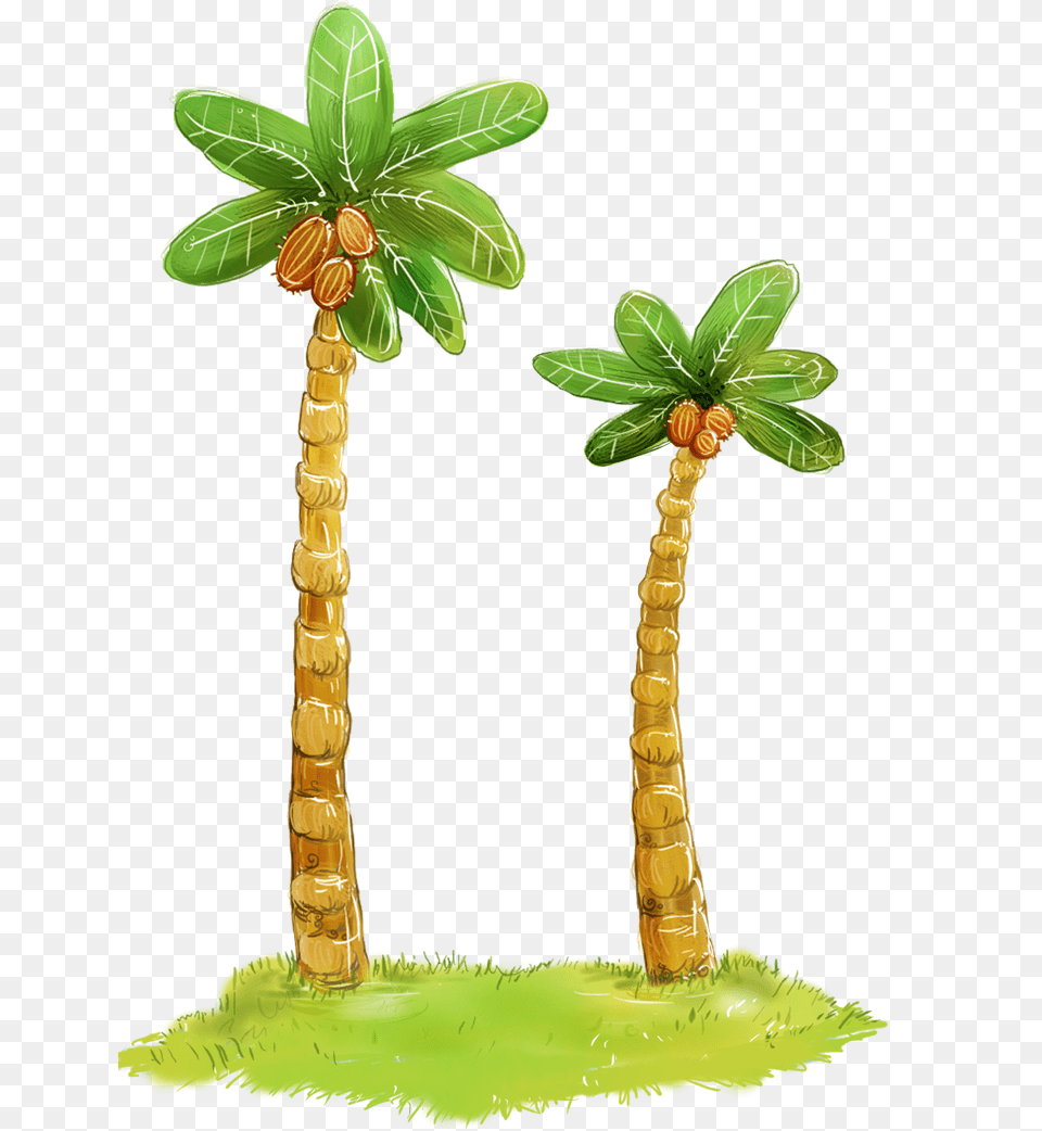 Palm Tree, Flower, Flower Arrangement, Leaf, Plant Free Png