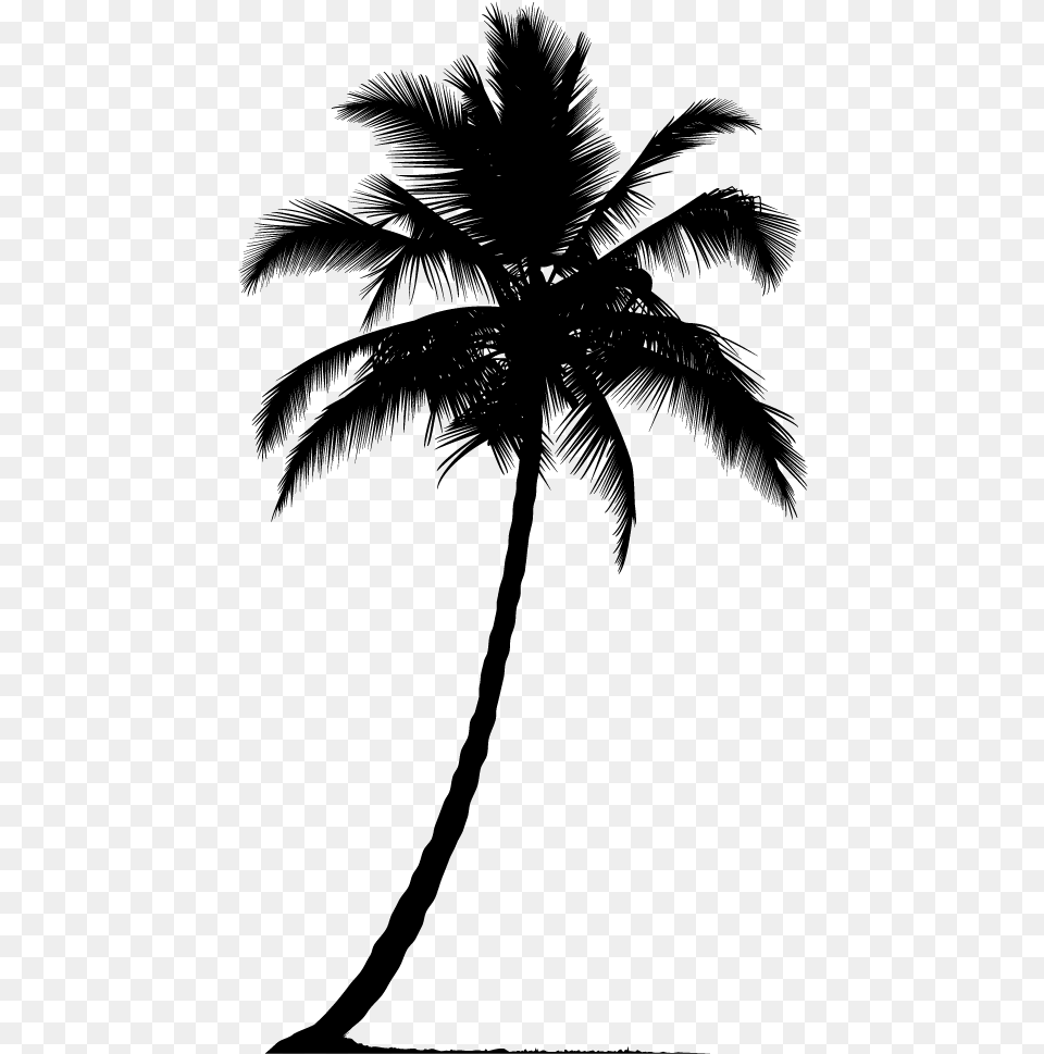 Palm Tree, Gray Png Image