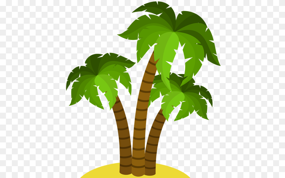 Palm Tree, Palm Tree, Plant, Leaf, Animal Png