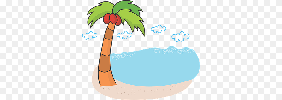 Palm Tree Palm Tree, Plant, Baby, Person Free Png Download