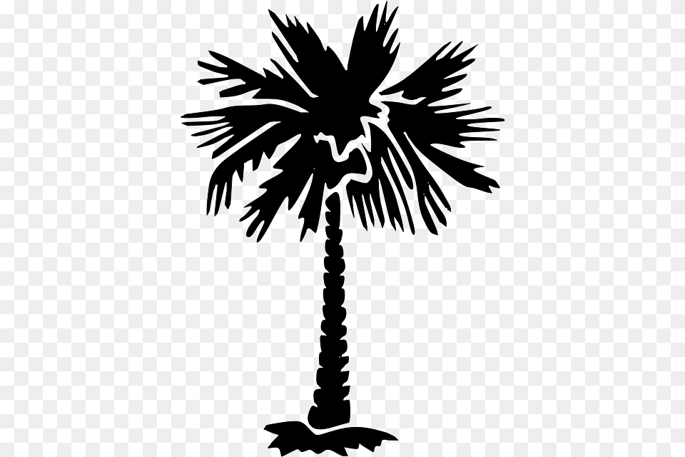 Palm Tree, Palm Tree, Plant, Silhouette, Stencil Free Transparent Png