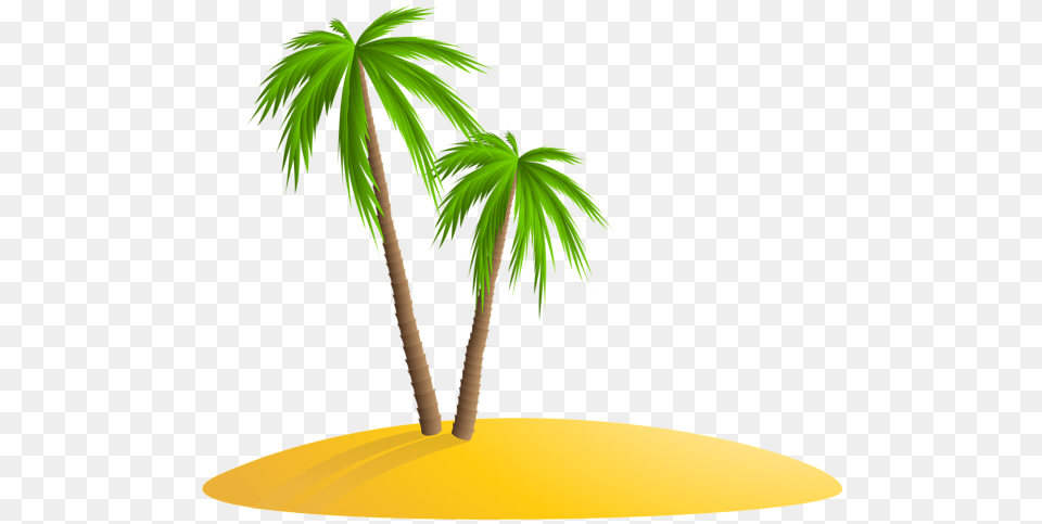 Palm Tree, Palm Tree, Plant, Leaf Free Png Download