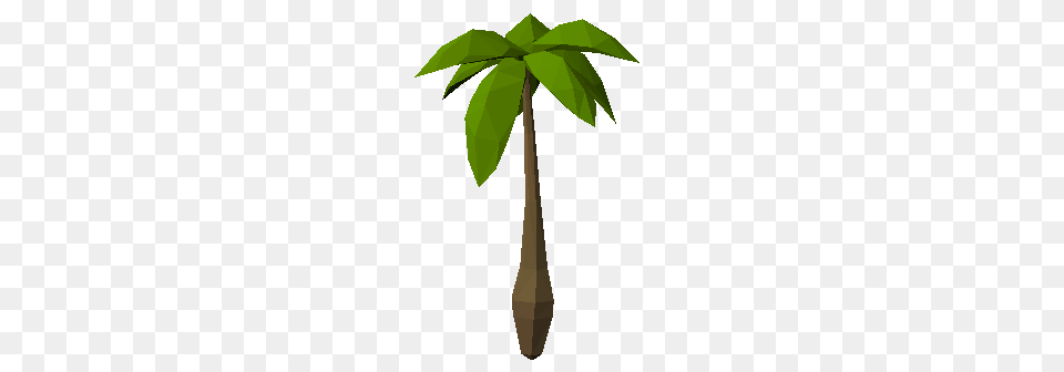 Palm Tree, Potted Plant, Plant, Leaf, Palm Tree Png