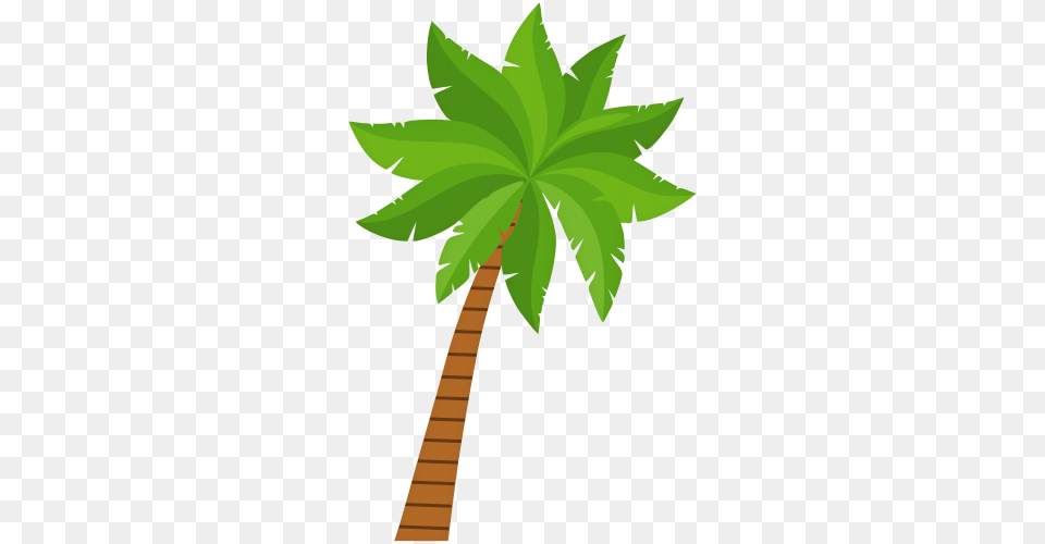 Palm Tree, Leaf, Palm Tree, Plant, Green Free Png Download