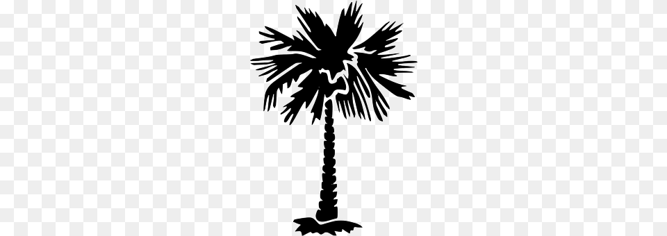 Palm Tree Palm Tree, Plant, Stencil, Cross Png Image