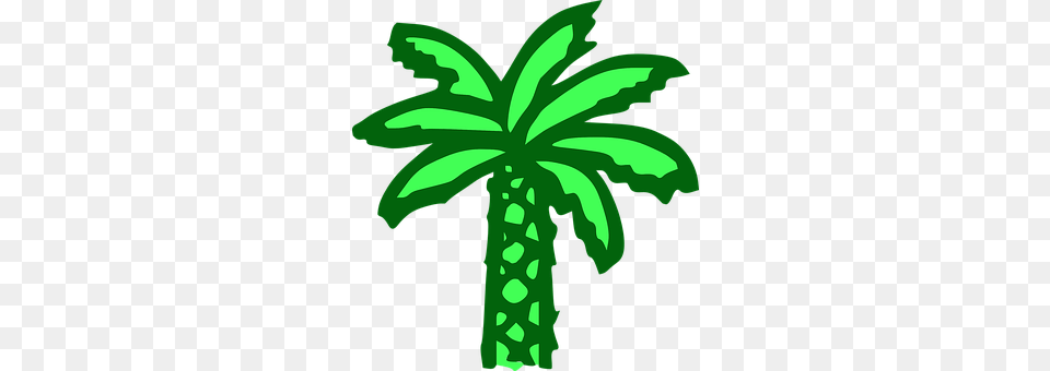 Palm Tree Green, Palm Tree, Plant, Animal Png