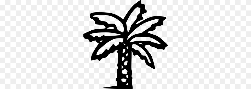 Palm Tree Gray Png