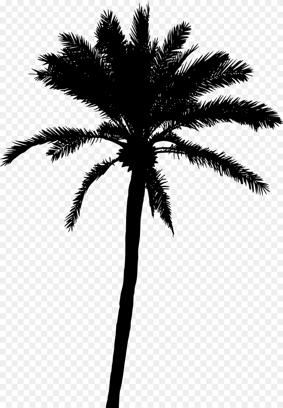 Palm Tree, Gray Free Png Download