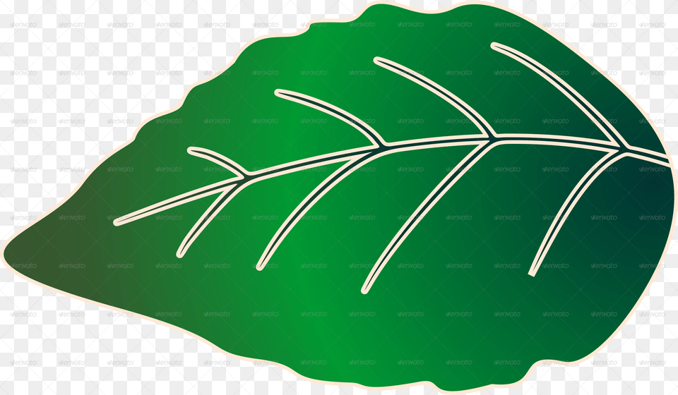 Palm Tree, Leaf, Plant, Food, Ketchup Free Transparent Png