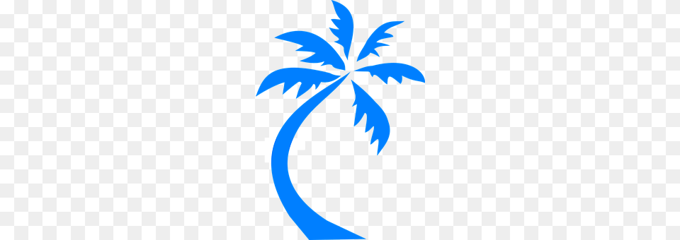 Palm Tree Palm Tree, Plant, Leaf, Person Png Image