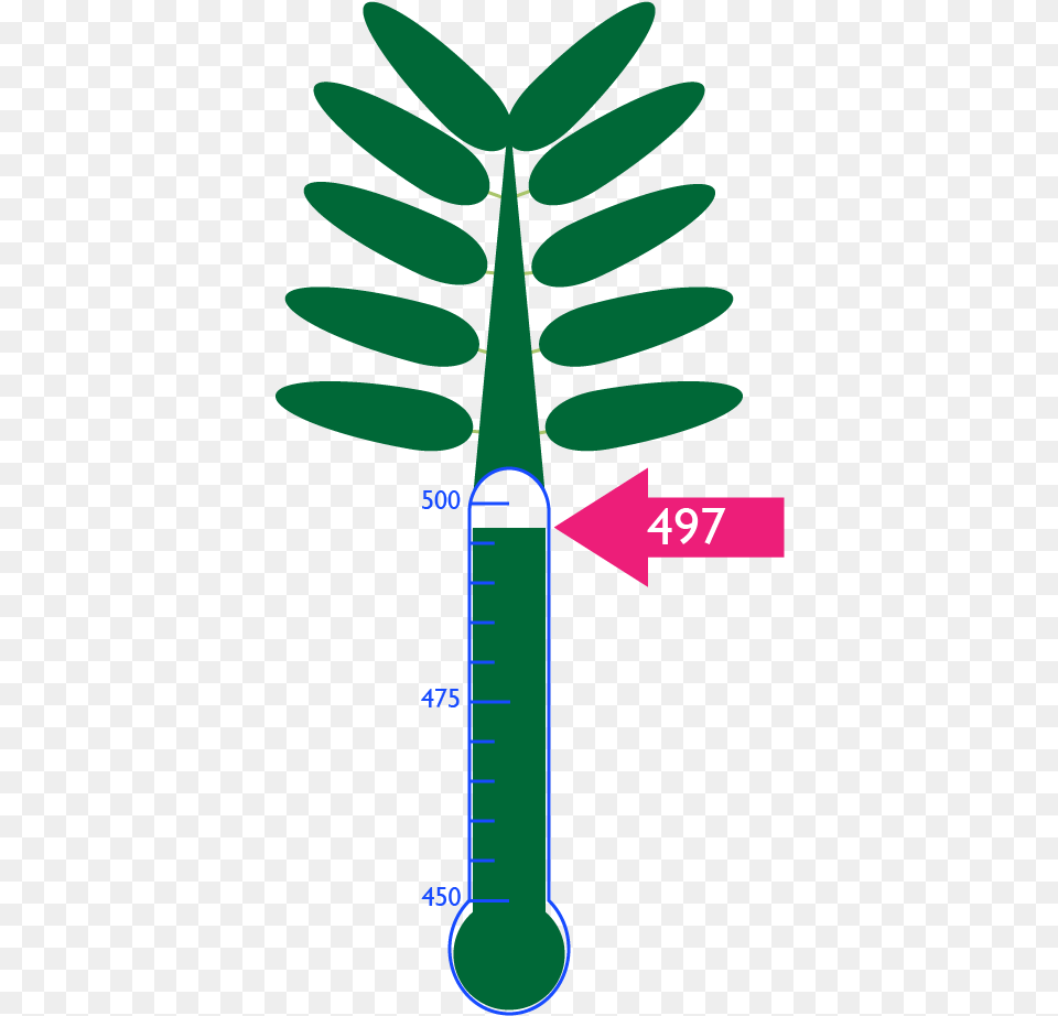 Palm Tree Free Transparent Png