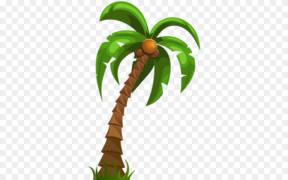 Palm Tree, Palm Tree, Plant, Food, Fruit Free Transparent Png