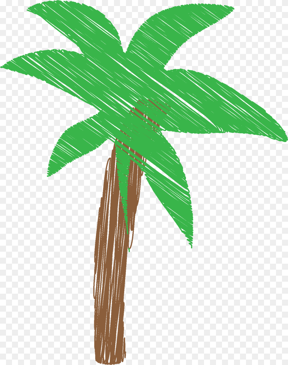 Palm Tree, Green, Leaf, Palm Tree, Plant Free Png Download