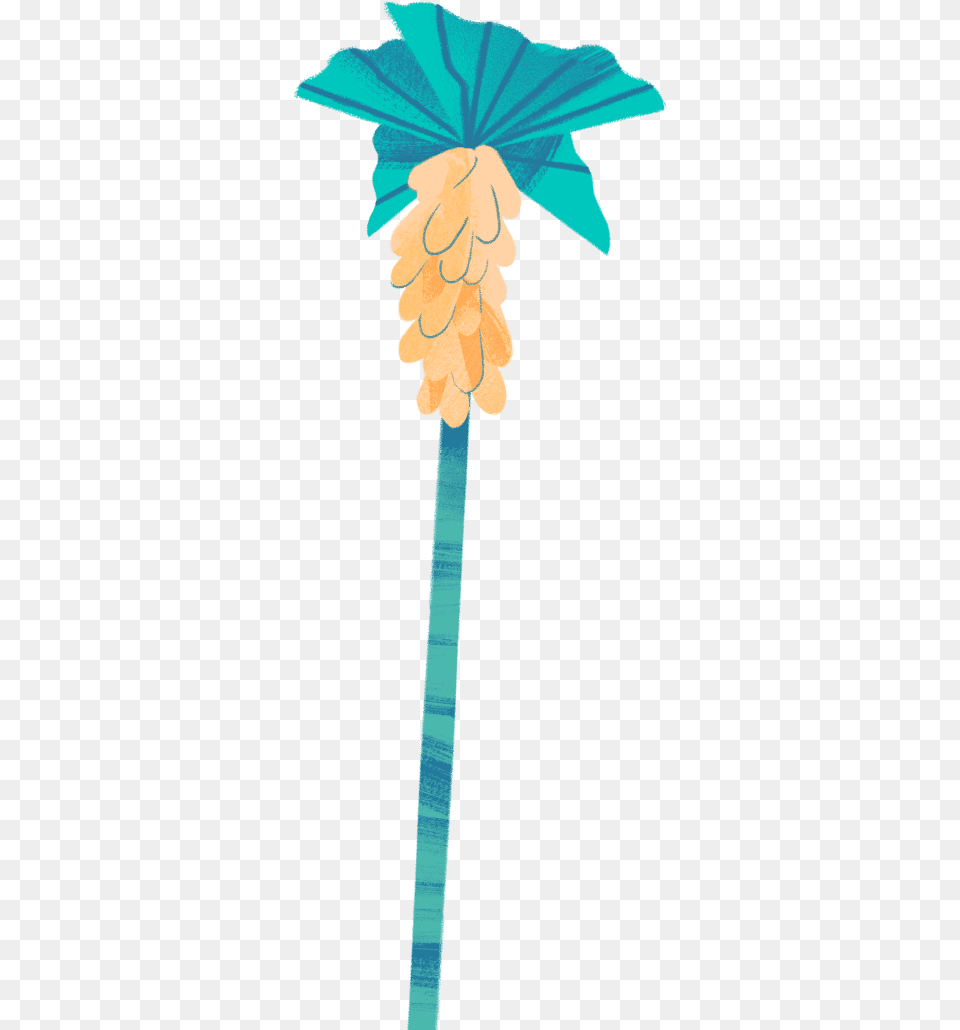 Palm Tree, Flower, Plant, Rose Png Image