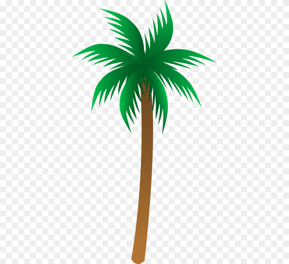 Palm Tree, Palm Tree, Plant, Animal, Bird Free Png Download