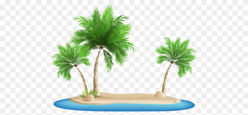 Palm Tree, Summer, Palm Tree, Plant, Vegetation Free Transparent Png
