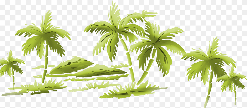 Palm Tree, Vegetation, Plant, Palm Tree, Outdoors Png