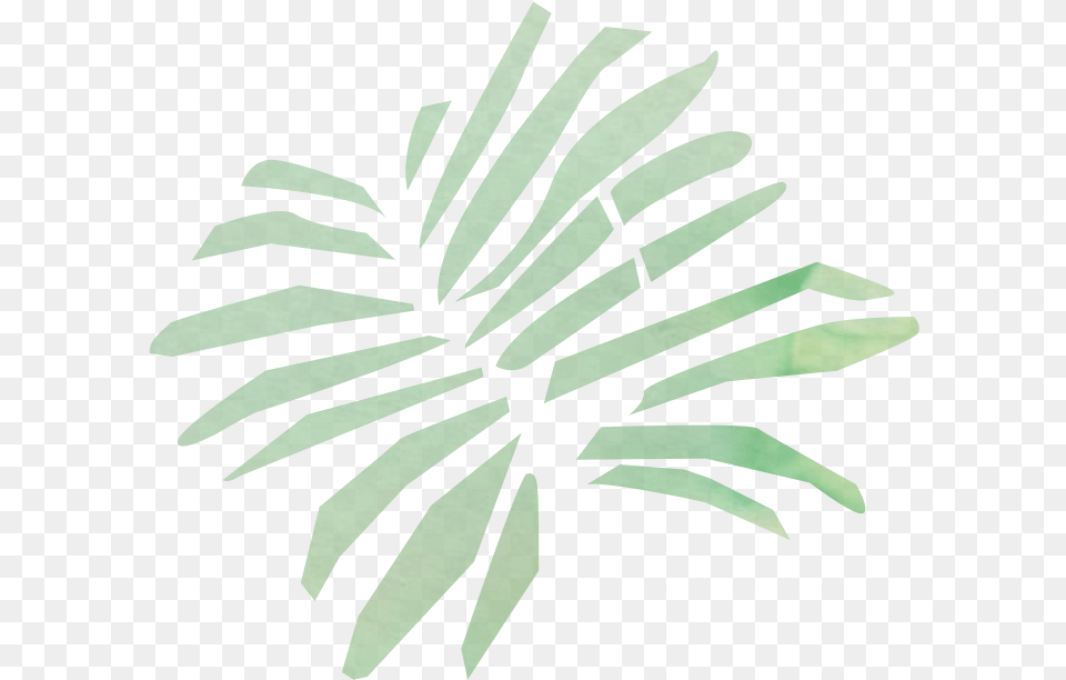 Palm Tree, Leaf, Plant, Fern, Art Free Png Download