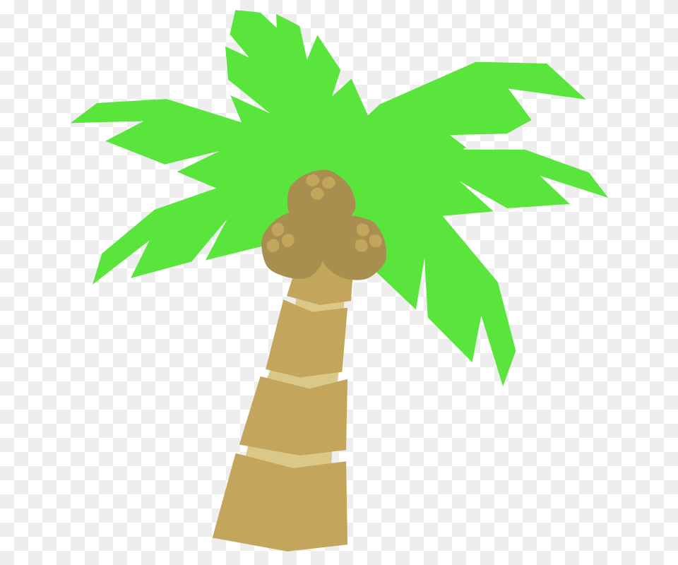 Palm Tree, Palm Tree, Plant, Food, Produce Free Transparent Png