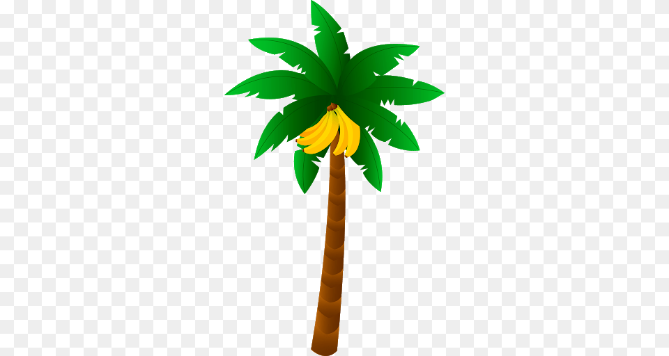 Palm Tree, Palm Tree, Plant, Leaf, Cross Png Image