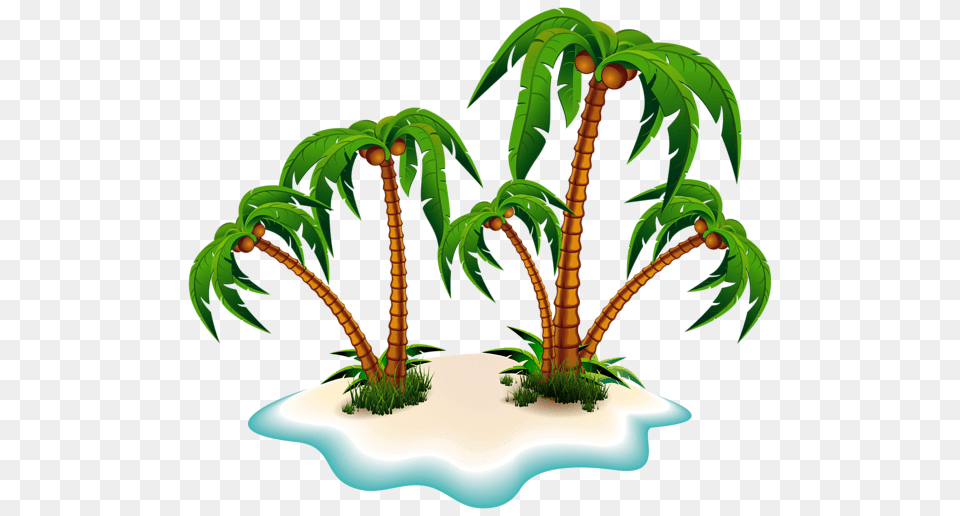 Palm Tree, Palm Tree, Plant, Vegetation, Leaf Png Image