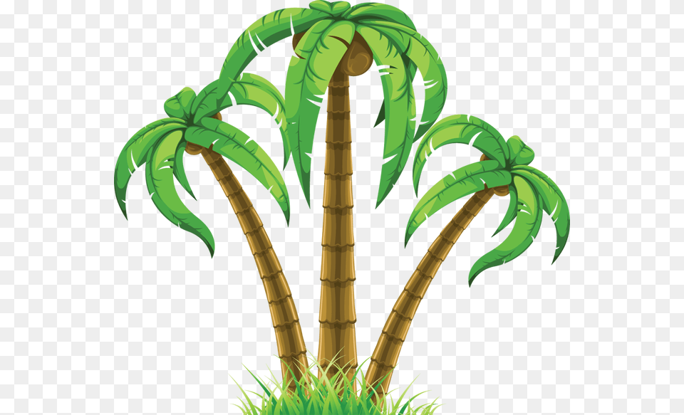 Palm Tree And Flamingo Clipart, Plant, Vegetation, Person, Palm Tree Free Png Download
