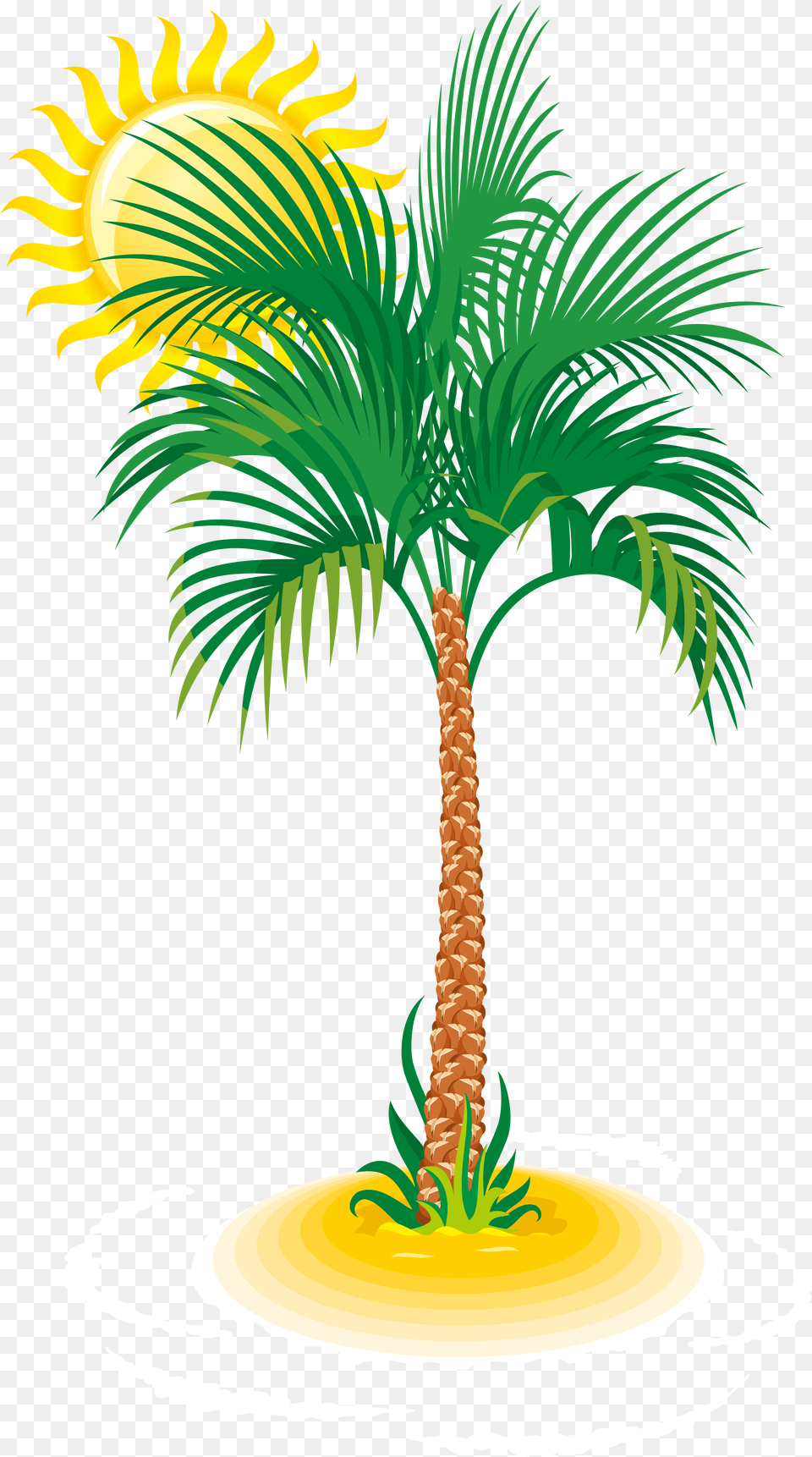Palm Tree And Sun Clipart Transparent Pack 6148, Palm Tree, Plant Free Png