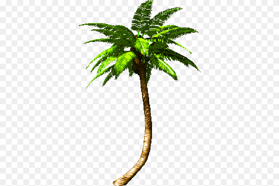 Palm Tree Animated Rotate Resize Tool Trees Palm Tree Gif, Fern, Palm Tree, Plant, Leaf Free Transparent Png