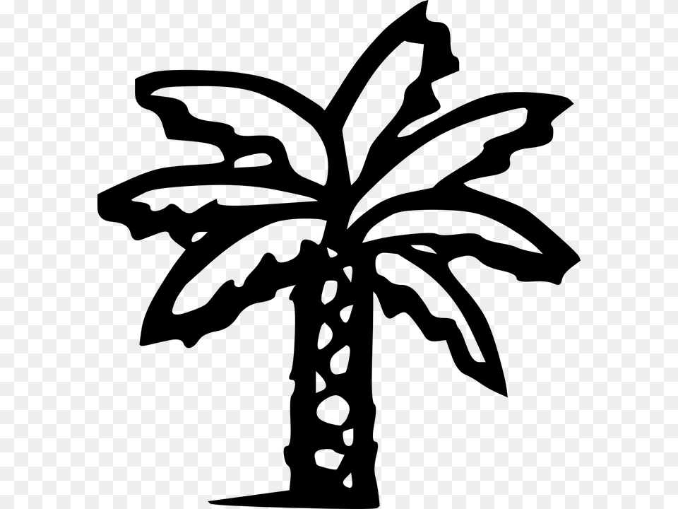 Palm Tree Banana Tree Palm Tropical Beach Black Palm Tree Clip Art Black, Gray Png