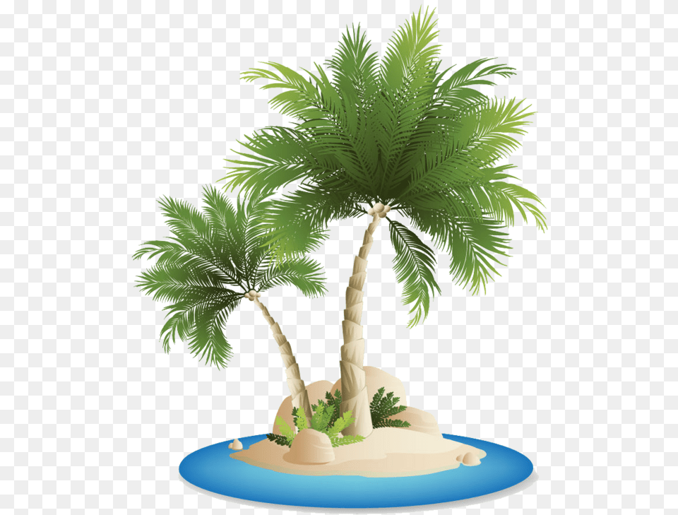 Palm Tree Beach, Palm Tree, Plant Free Png