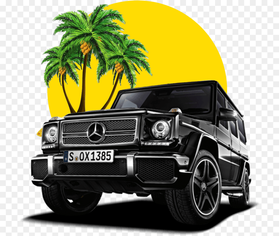 Palm Tree Beach, Wheel, Car, Vehicle, Machine Png Image