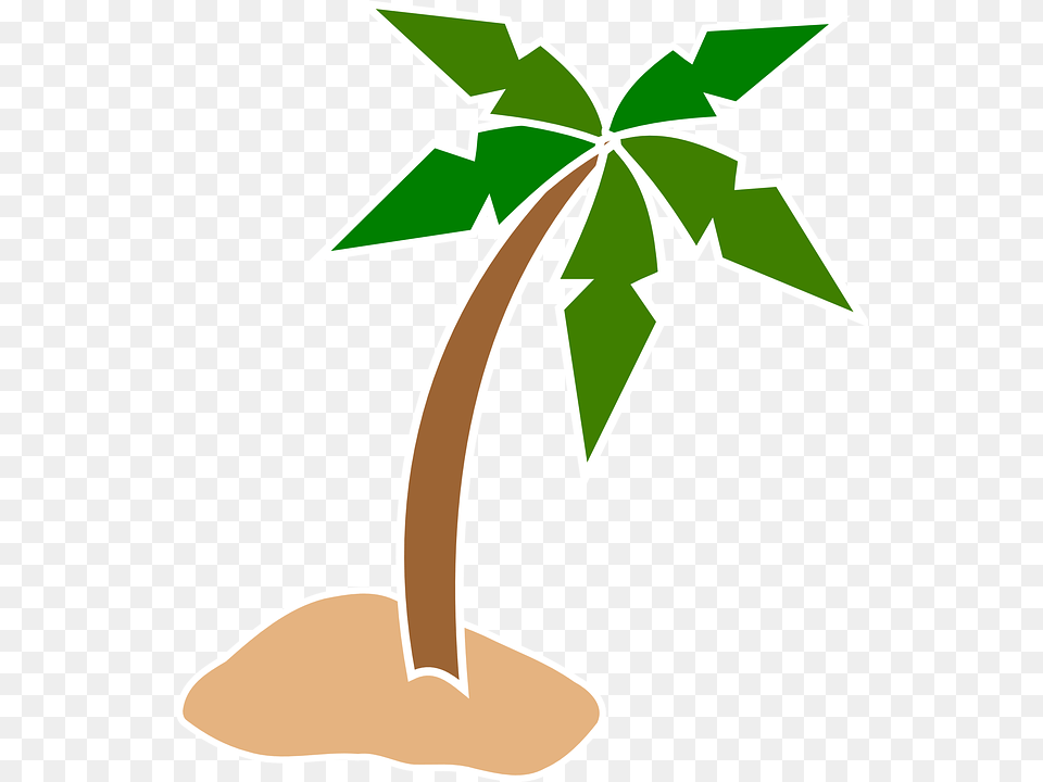 Palm Tree Beach Coconut Tree Vector, Leaf, Plant, Herbal, Herbs Free Transparent Png