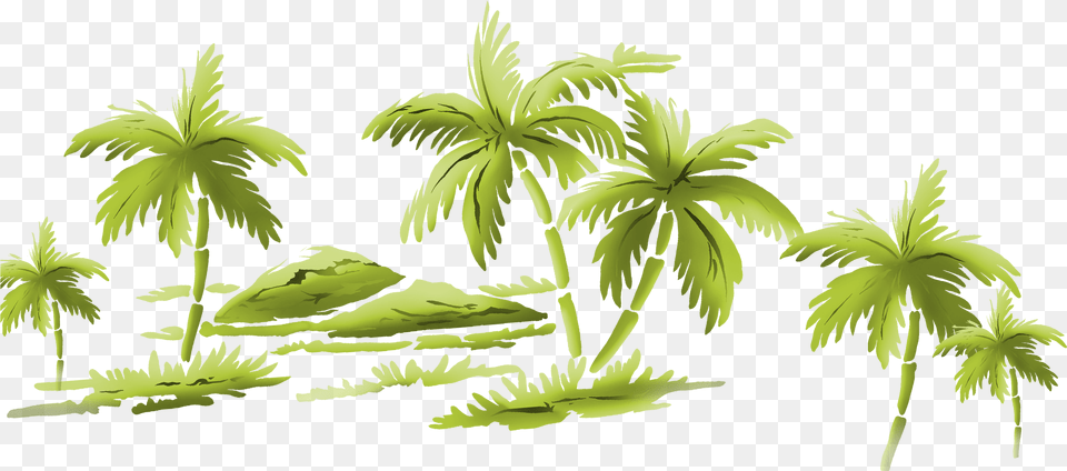 Palm Tree Beach Flower, Green, Plant, Palm Tree, Outdoors Free Png Download