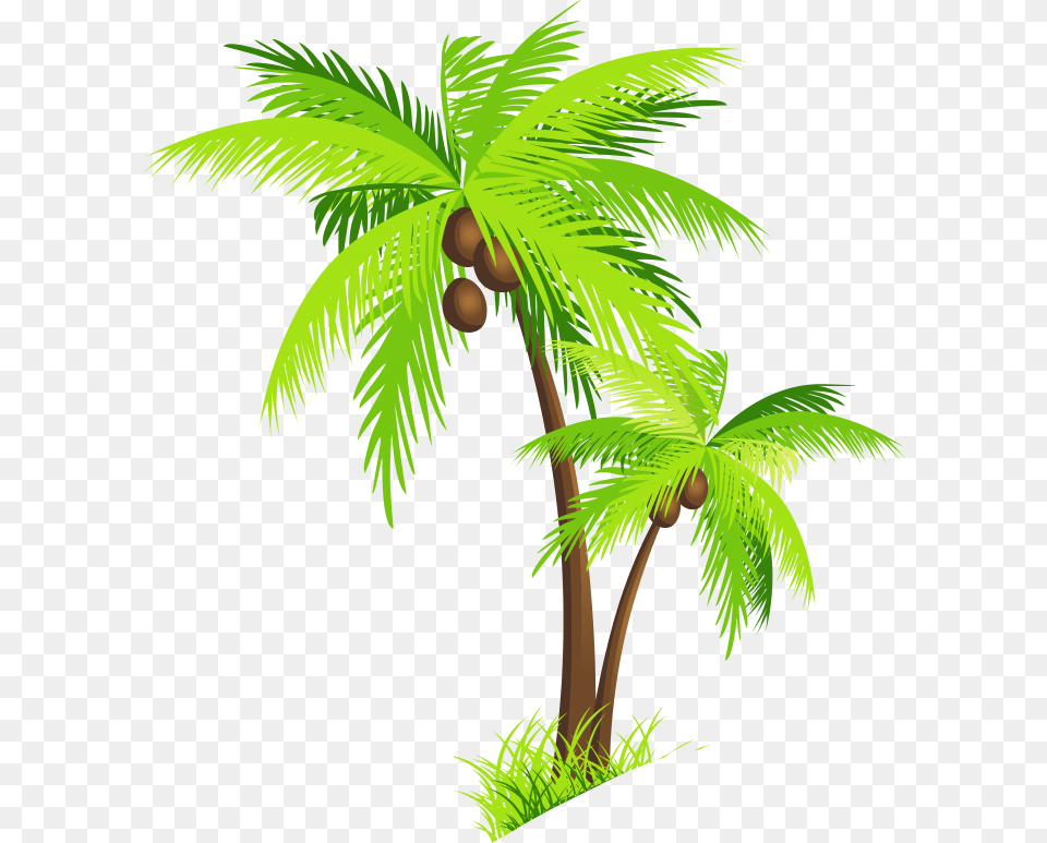 Palm Tree Beach Images Image Transparent Background Coconut Tree Clipart, Vegetation, Plant, Palm Tree, Rainforest Free Png Download