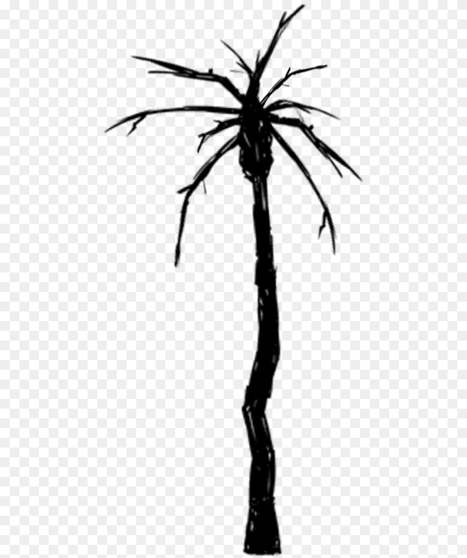 Palm Tree Black And White, Gray Free Png