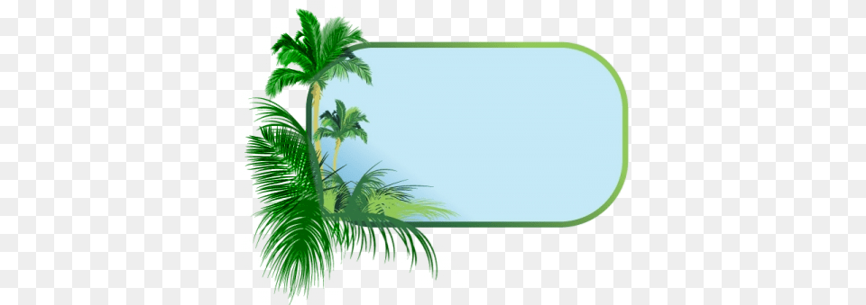 Palm Tree Border Clipart, Green, Rainforest, Plant, Palm Tree Png Image