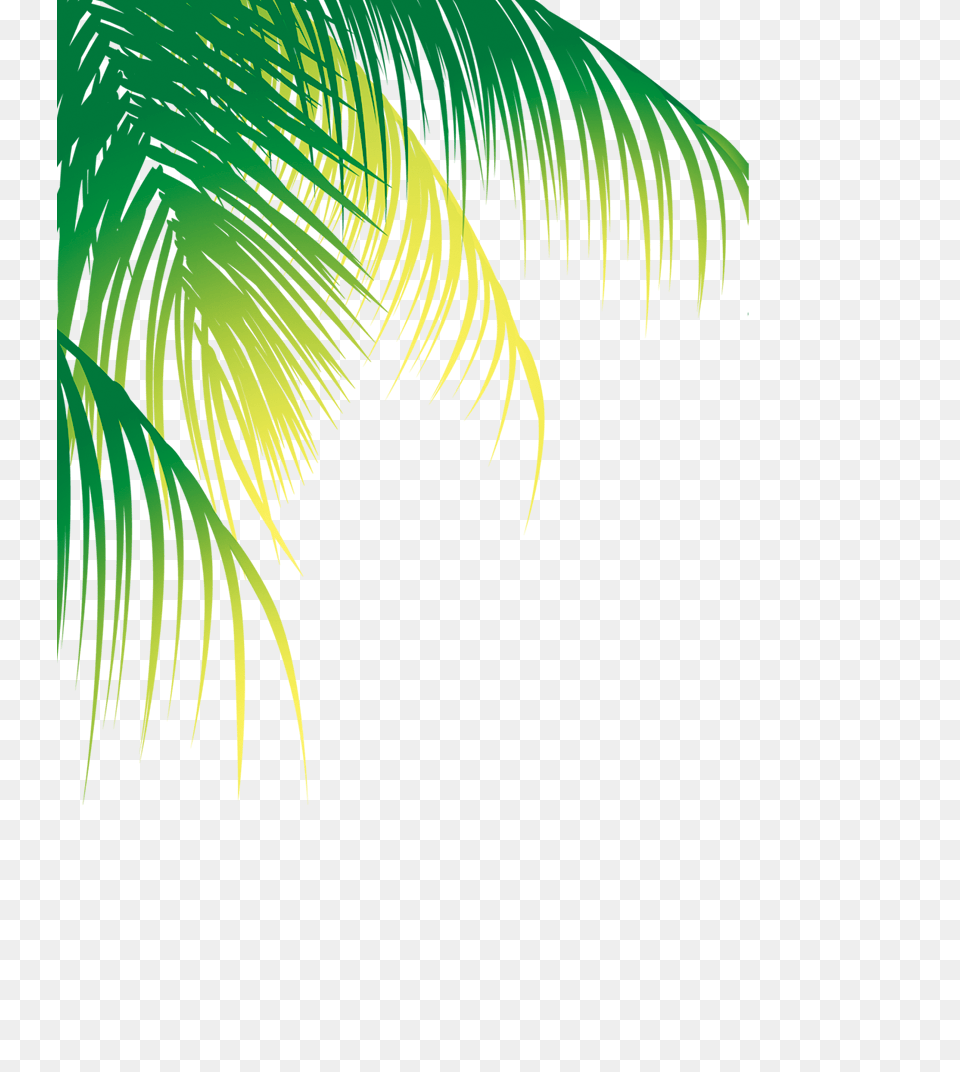 Palm Tree Border Coconut Tree Leaf Vector, Art, Graphics, Green, Sunlight Free Png