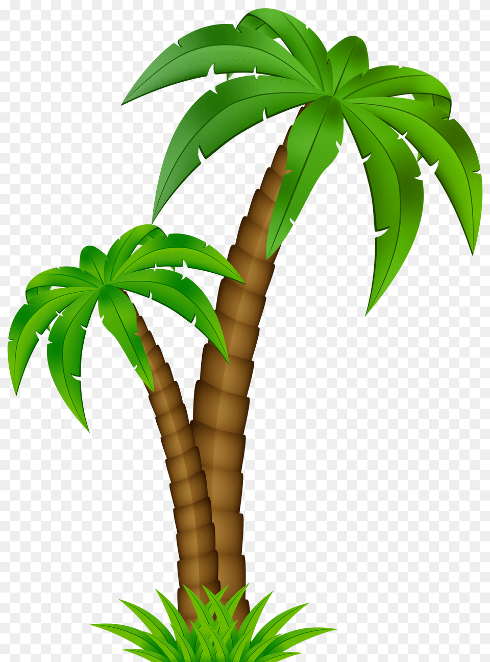 Palm Tree Cartoon Clipart Cartoon Palm Tree Clip Art Free Png Download