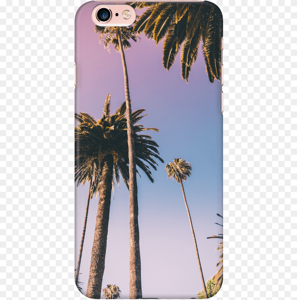 Palm Tree Case Beverly Hills Palm Trees, Palm Tree, Plant, Summer, Electronics Png