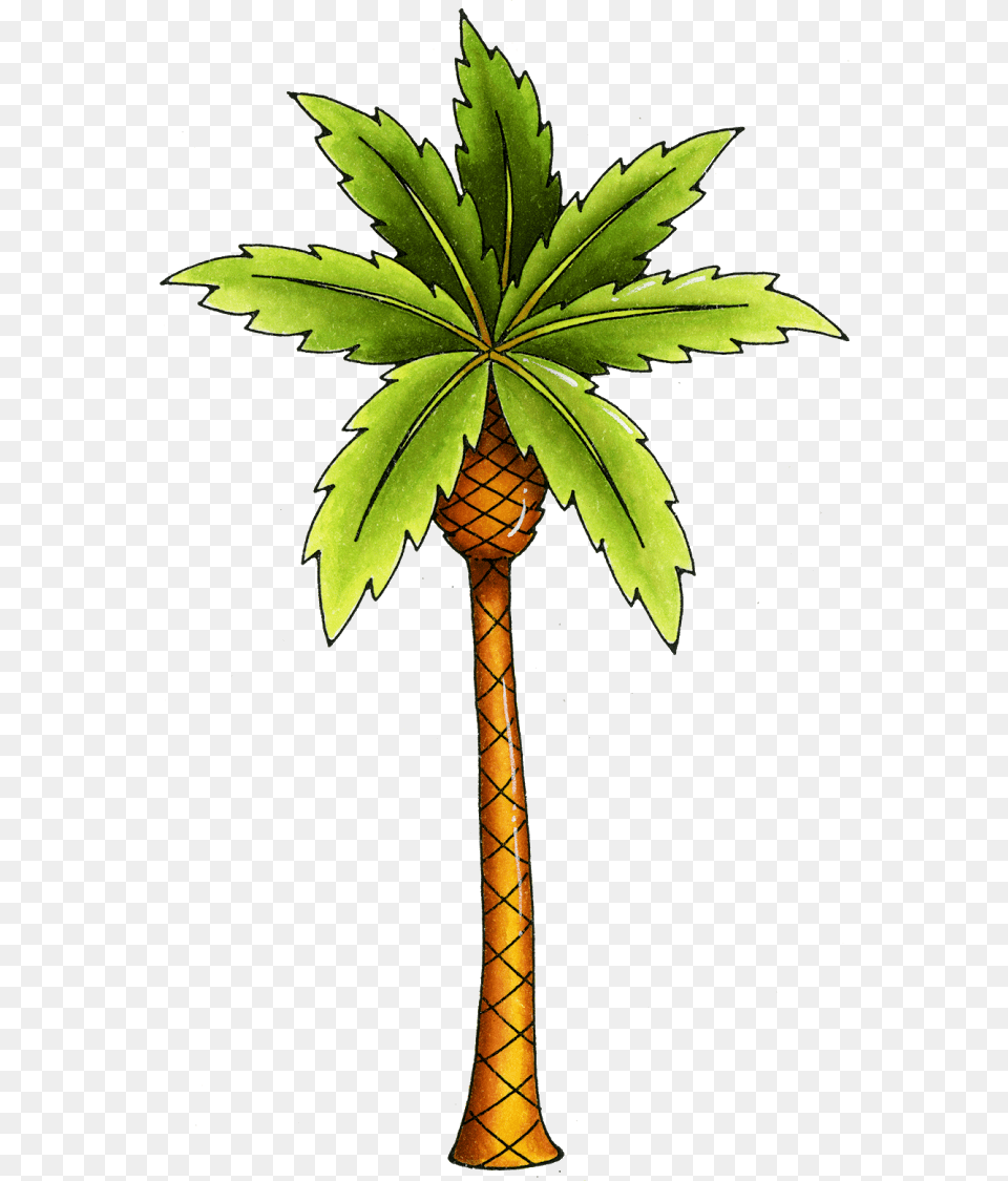 Palm Tree Christmas, Leaf, Palm Tree, Plant Png
