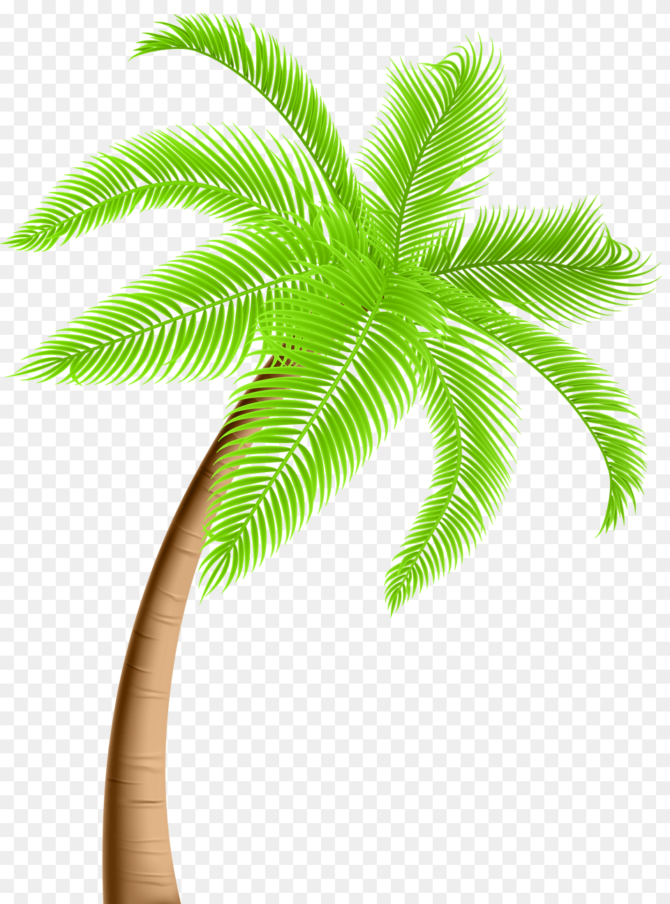 Palm Tree Clip Png Image
