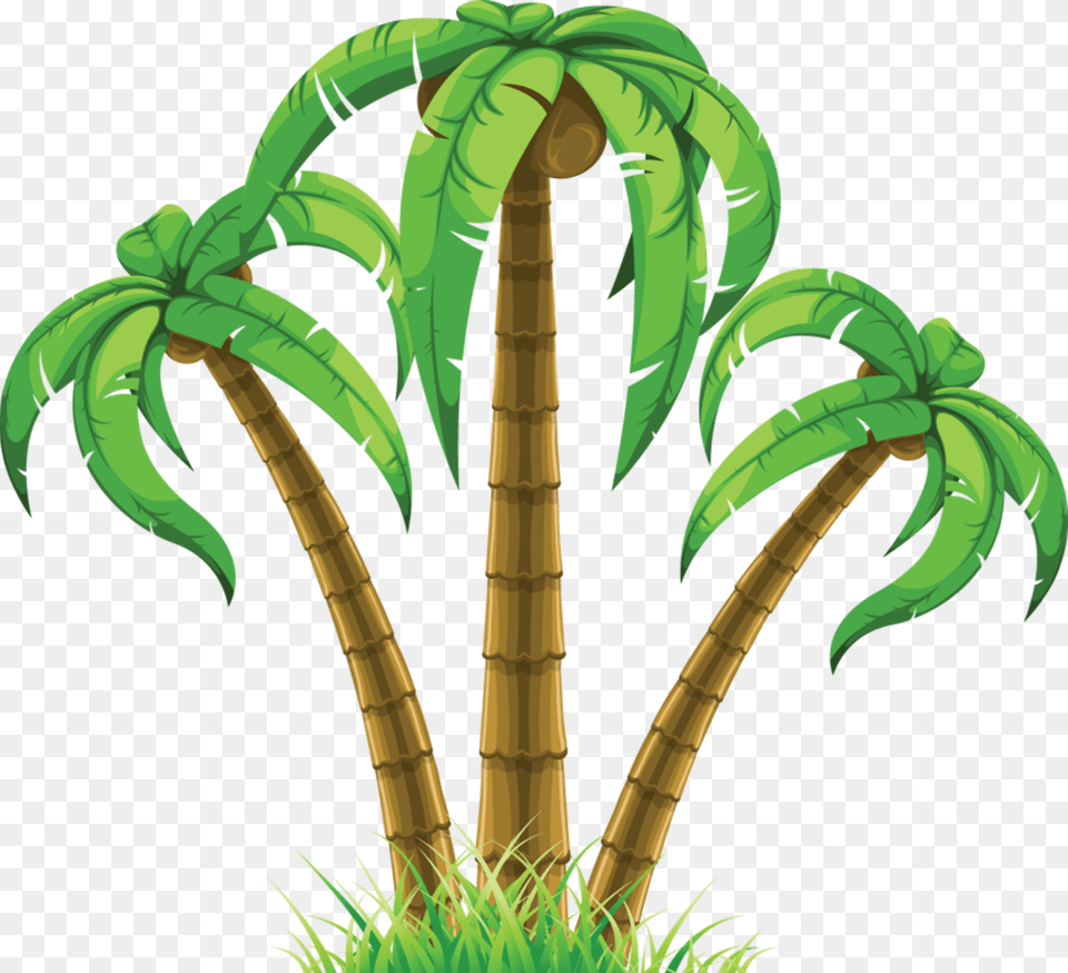 Palm Tree Clip Art, Plant, Vegetation Free Png