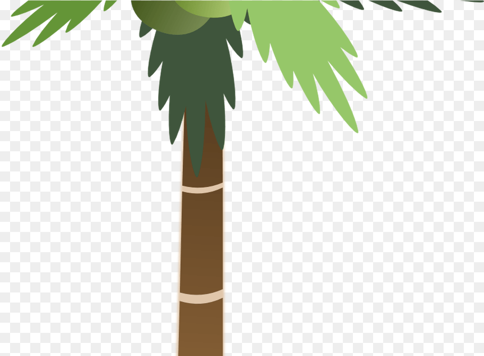 Palm Tree Clip Art, Palm Tree, Plant Free Transparent Png