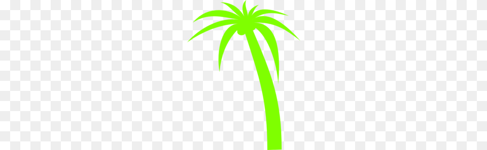 Palm Tree Clip Art, Palm Tree, Plant Png Image